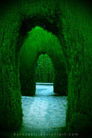 The Blind Alley by kurosakii