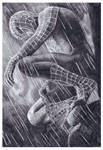 Spiderman 3 by ktalbot