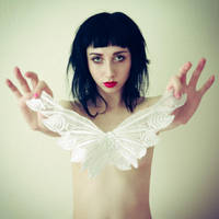 Soulmate by Miss-Tschirhart