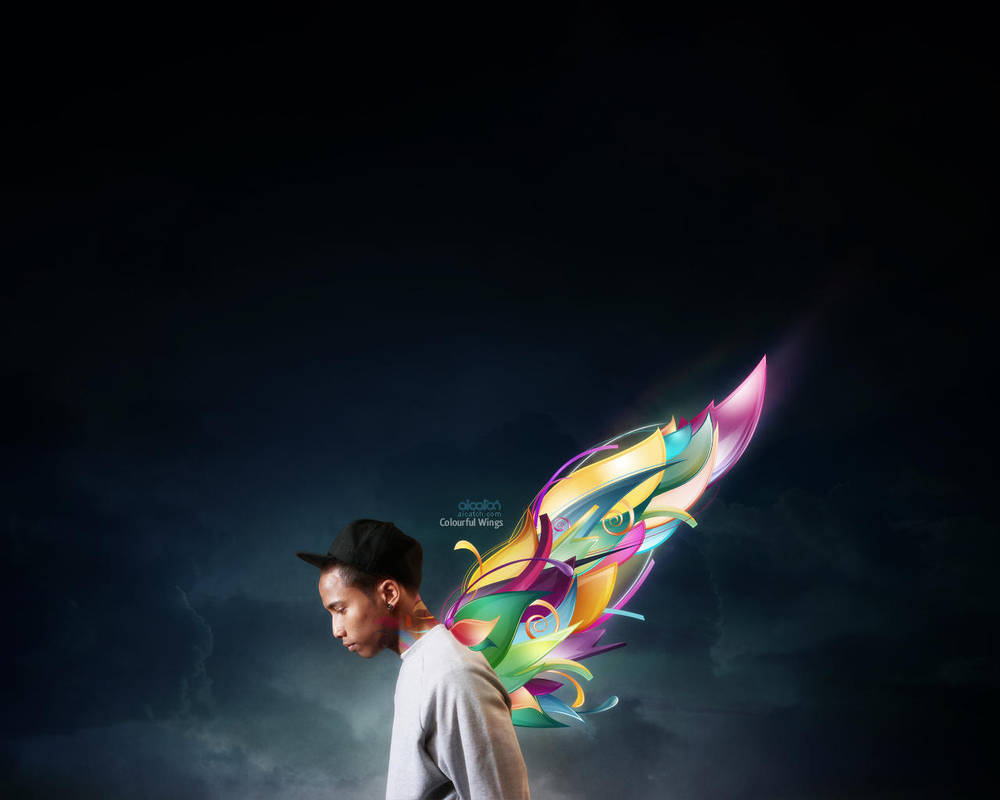 Colourful Wings by Msch