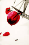 Even Mother Nature bleeds by emzofc