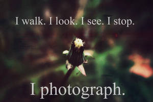 I Photograph. - Day Fifty-Two by LinkxMidna4eva