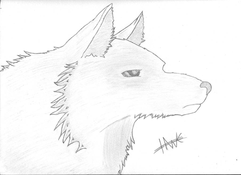 Ice Wolf by xKnightHawkx on DeviantArt