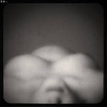 .auc. by dasTOK