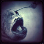 .euch. by dasTOK