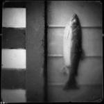 .ote. by dasTOK