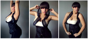 Hawk montage 1 by RoseOnyxis