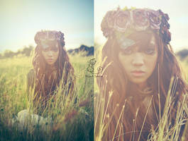 Fancy Meadow by ragdollsparrow