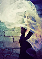 transcend. by Sea-of-Ice