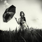Goodbye Blue Sky by CameraDude