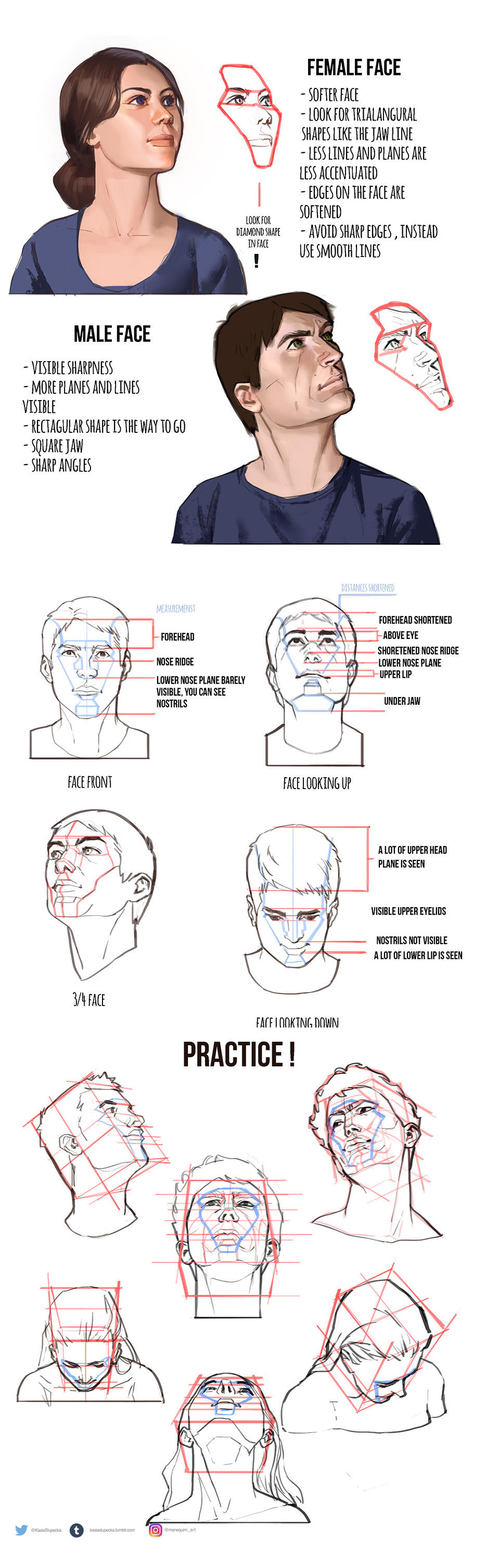 Cheat sheet for drawing heads by mannequin-atelier