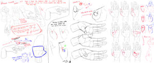 Tutorial Drawing The Body Part 1 Proportion By Akimiya On Deviantart Tutorial Drawing The Body Part 1 Proportion By Akimiya On Deviantart