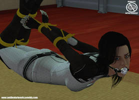 Miranda hogtied by MndlessEntertainment