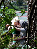 in the bushes series 3 by randomchild4life