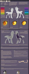 Torch Hound Reference Sheet 2013 by Pon-ee
