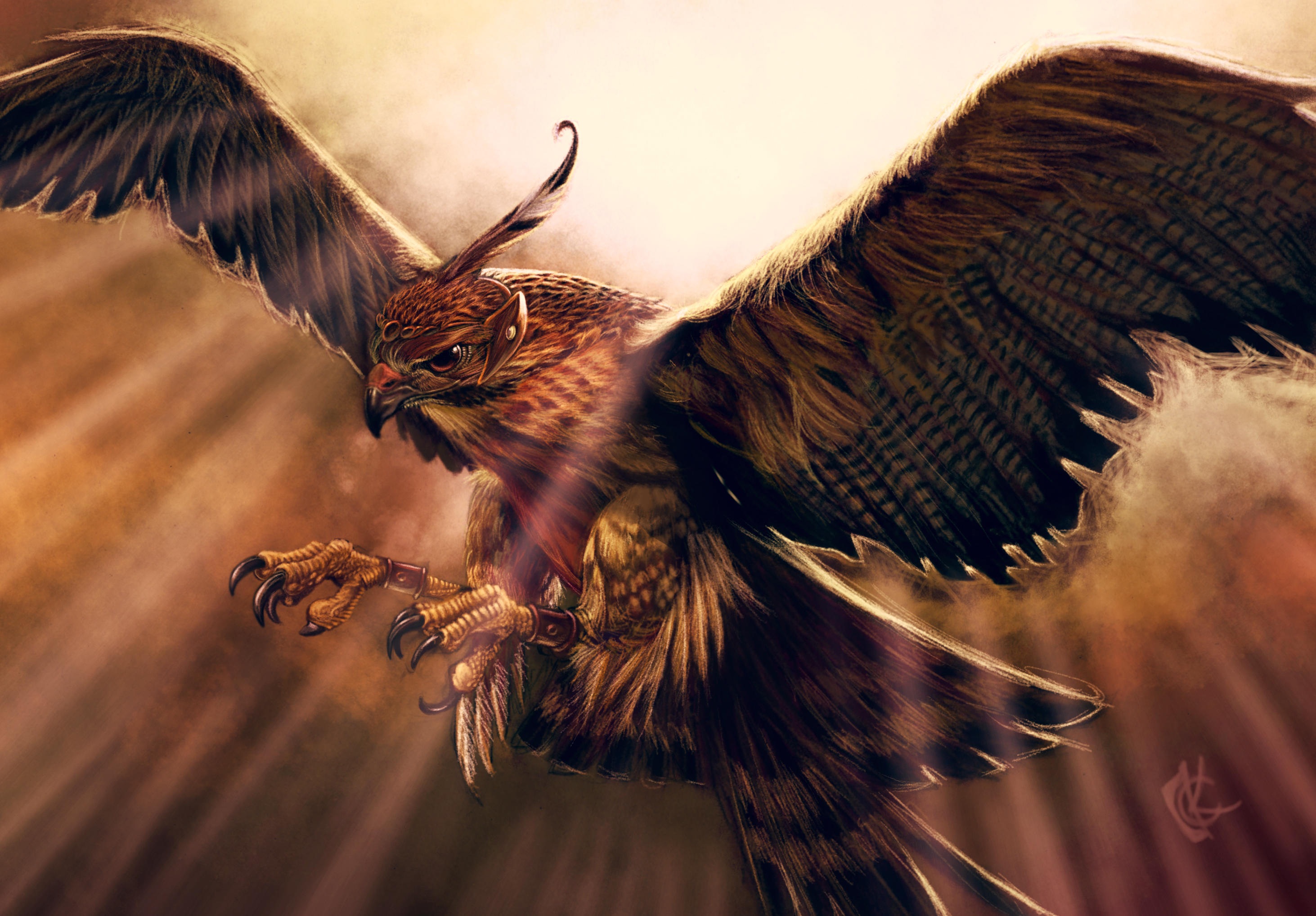 Trained Hawk by KhristianDeMedich on DeviantArt