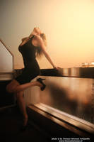 Golden Dawn by CrowsReign