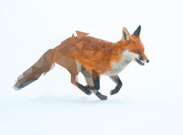 Fox Broken Low Poly by Caen-N