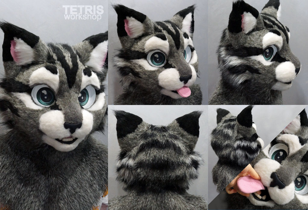 Fursuit domestic cat partial by KrafiCat on DeviantArt