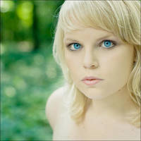 in the forest by lumoid