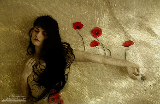 Sins by temporary-peace