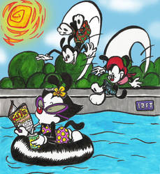 Animaniacs by SDWalden