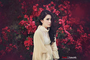 Red Romanticsm v.1 by bwaworga