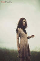 gone with the wind v.3 by bwaworga