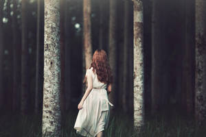 Into the dark woods by bwaworga