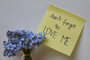 don't forget to love me by klaraaaa