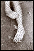 Bre feet 2-31 by woodeye