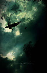 falling from grace by exarxil