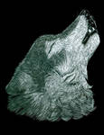 Wolfie by LaurieMcQuaid