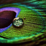 color me pretty by quicksilverq