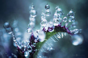 Spikes And Drops by JoniNiemela Spikes And Drops by JoniNiemela