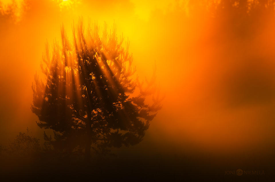 Orange Sunrays by JoniNiemela on DeviantArt