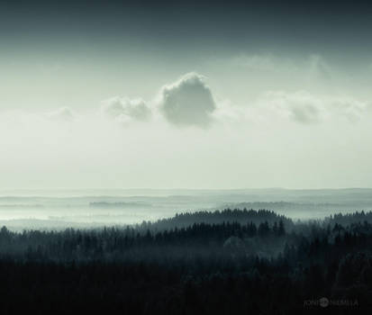 Tree Hill Forest by JoniNiemela