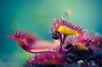 Alien Plant by JoniNiemela