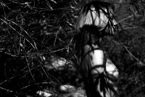 Silver Wings by ericchang