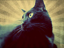 Retro by Wildaboutyou