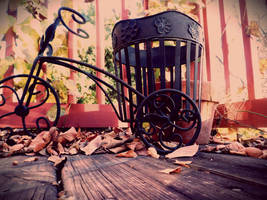 Fall Bicycle by Wildaboutyou