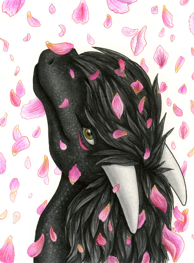 Gift: Petals by Samantha-dragon