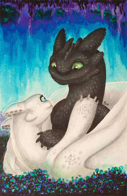 FanArt: Toothless and white night fury girlfriend by Samantha-dragon