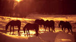Workhorses by Valentin-Gl