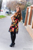 Intrigue by Valentin-Stanciu