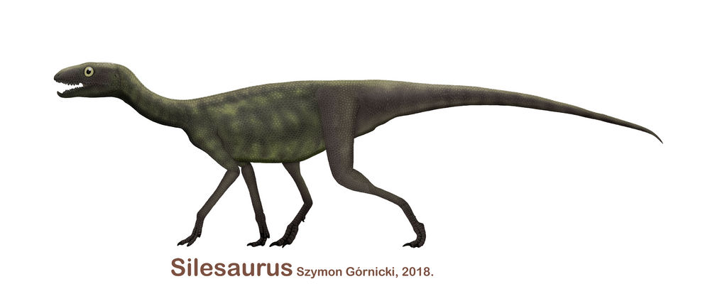 Silesaurus 2018 by Szymoonio