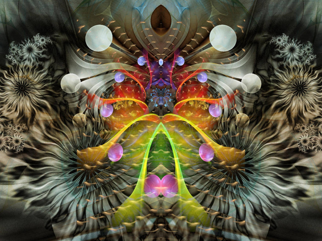 True Colors by Joe-Maccer