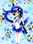 Sailor Mercury - Shabon Spray by aleena