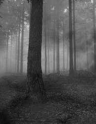 Premade Background 607 by AshenSorrow