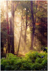 It's A New Day by DennisChunga